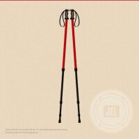 Teleskop-Wanderstöcke, Paar